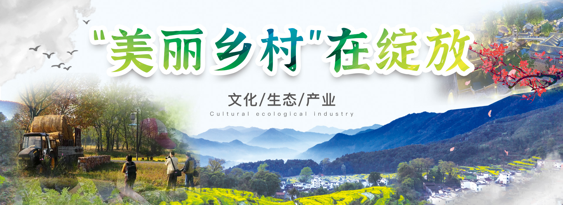 首页轮播图2